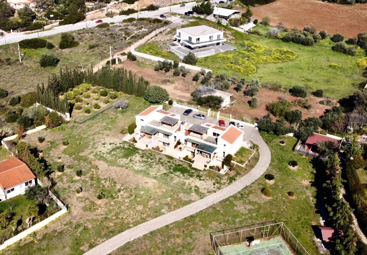 Legrena Beach Villa Sunion Zewnętrze zdjęcie
